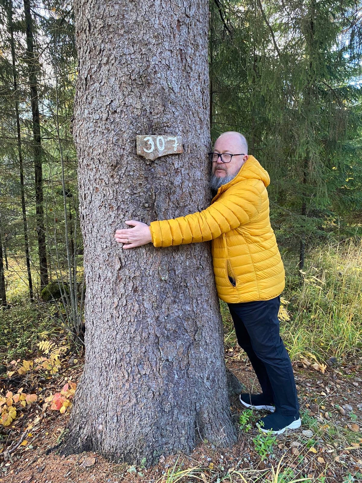 Ikipuun halaus Morvassa 9.10.2025