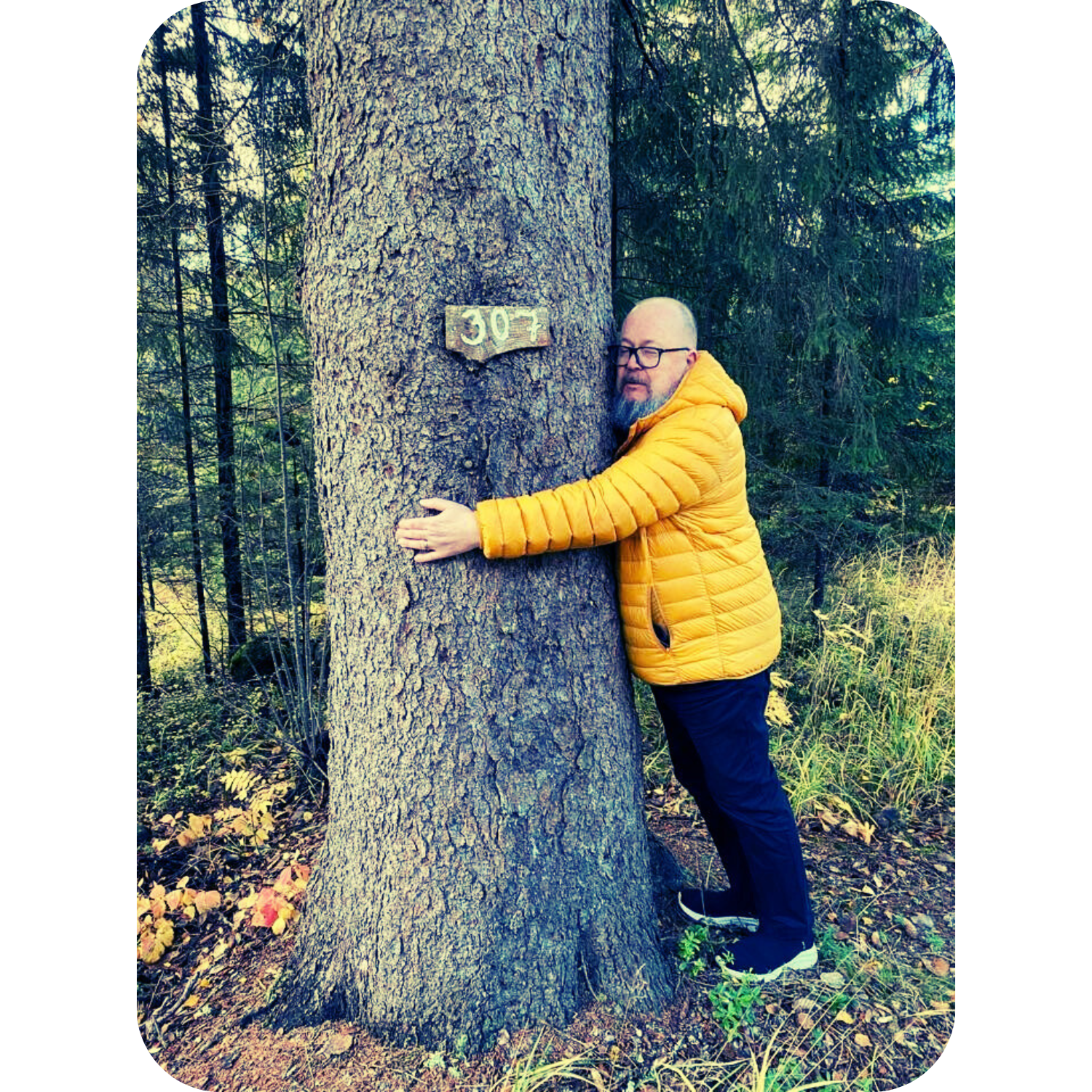 Halaa puita aina kun voit!